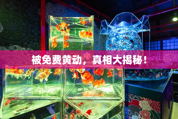 被免费黄动，真相大揭秘！