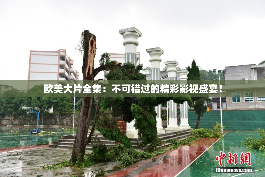 欧美大片全集：不可错过的精彩影视盛宴！