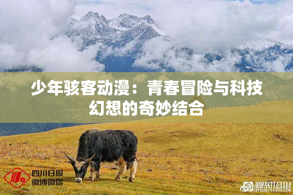 少年骇客动漫：青春冒险与科技幻想的奇妙结合