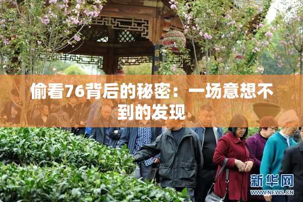 偷看76背后的秘密：一场意想不到的发现