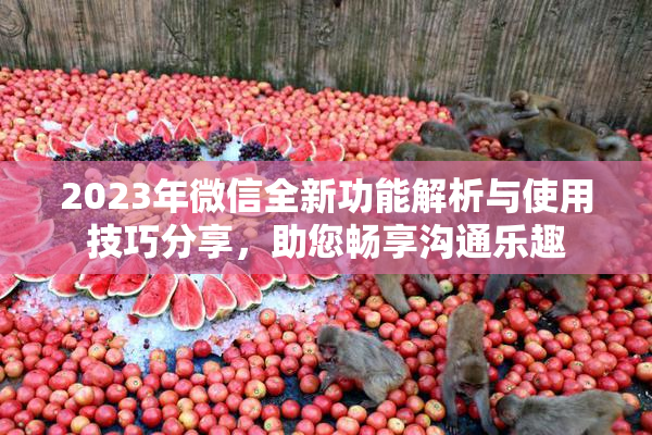 2023年微信全新功能解析与使用技巧分享，助您畅享沟通乐趣