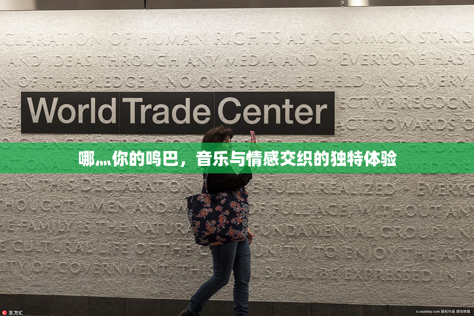 哪灬你的鸣巴，音乐与情感交织的独特体验
