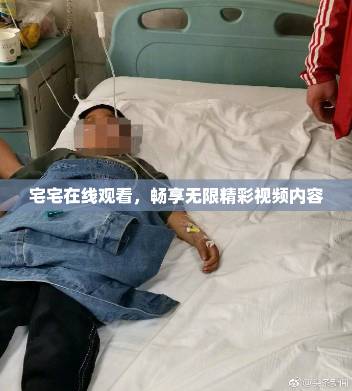 宅宅在线观看，畅享无限精彩视频内容