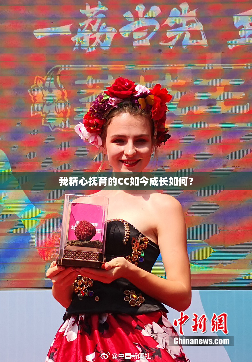 我精心抚育的CC如今成长如何？