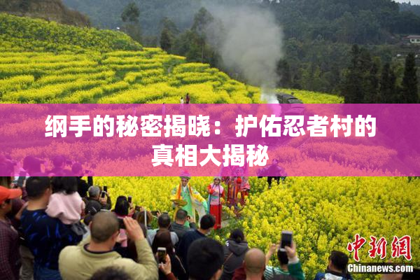 纲手的秘密揭晓：护佑忍者村的真相大揭秘