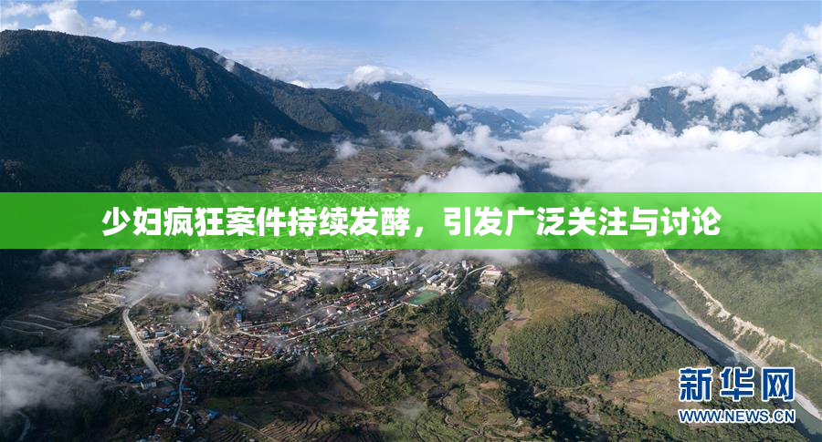 少妇疯狂案件持续发酵，引发广泛关注与讨论