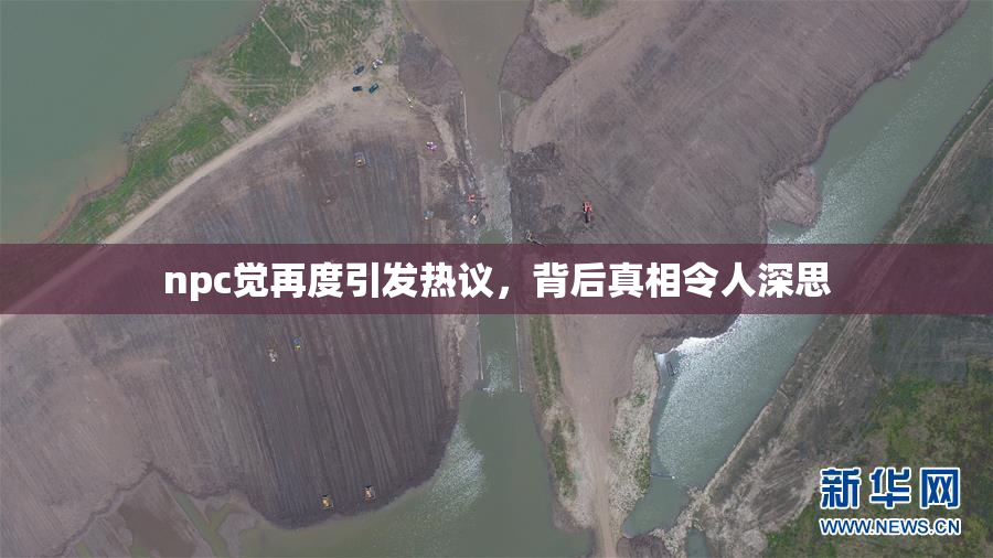 npc觉再度引发热议，背后真相令人深思