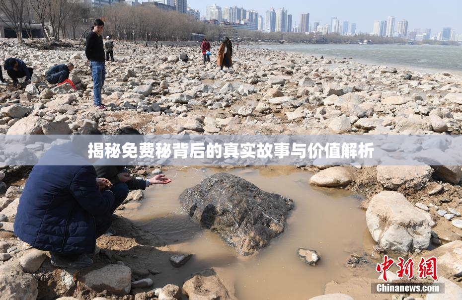揭秘免费秘背后的真实故事与价值解析
