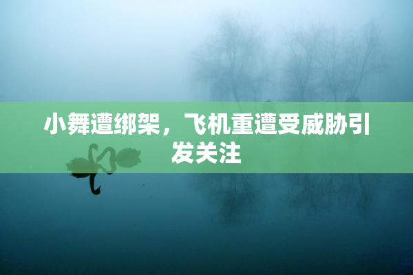 小舞遭绑架，飞机重遭受威胁引发关注