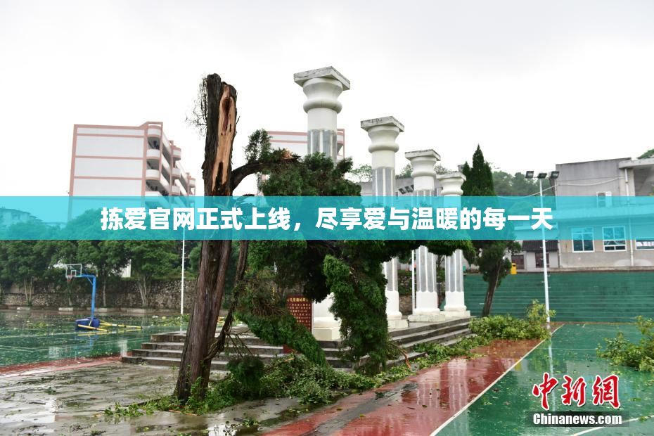 拣爱官网正式上线，尽享爱与温暖的每一天