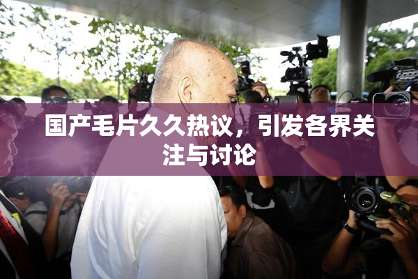 国产毛片久久热议，引发各界关注与讨论