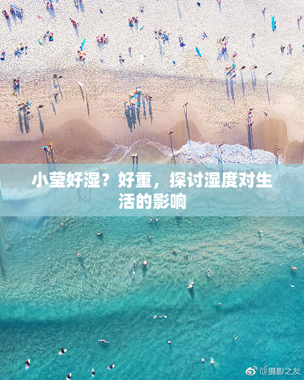 小莹好湿？好重，探讨湿度对生活的影响