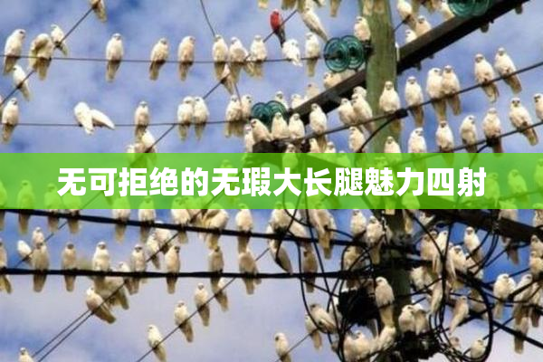 无可拒绝的无瑕大长腿魅力四射