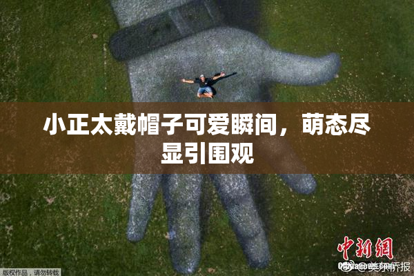 小正太戴帽子可爱瞬间，萌态尽显引围观