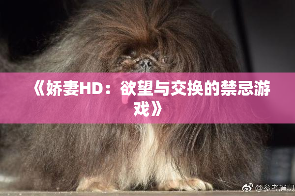 《娇妻HD：欲望与交换的禁忌游戏》