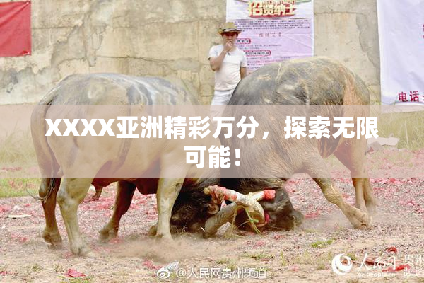 XXXX亚洲精彩万分，探索无限可能！