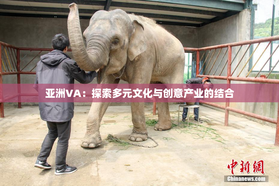亚洲VA：探索多元文化与创意产业的结合