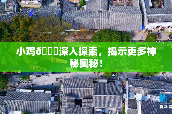 小鸡🐔深入探索，揭示更多神秘奥秘！
