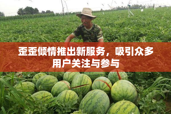 歪歪倾情推出新服务，吸引众多用户关注与参与
