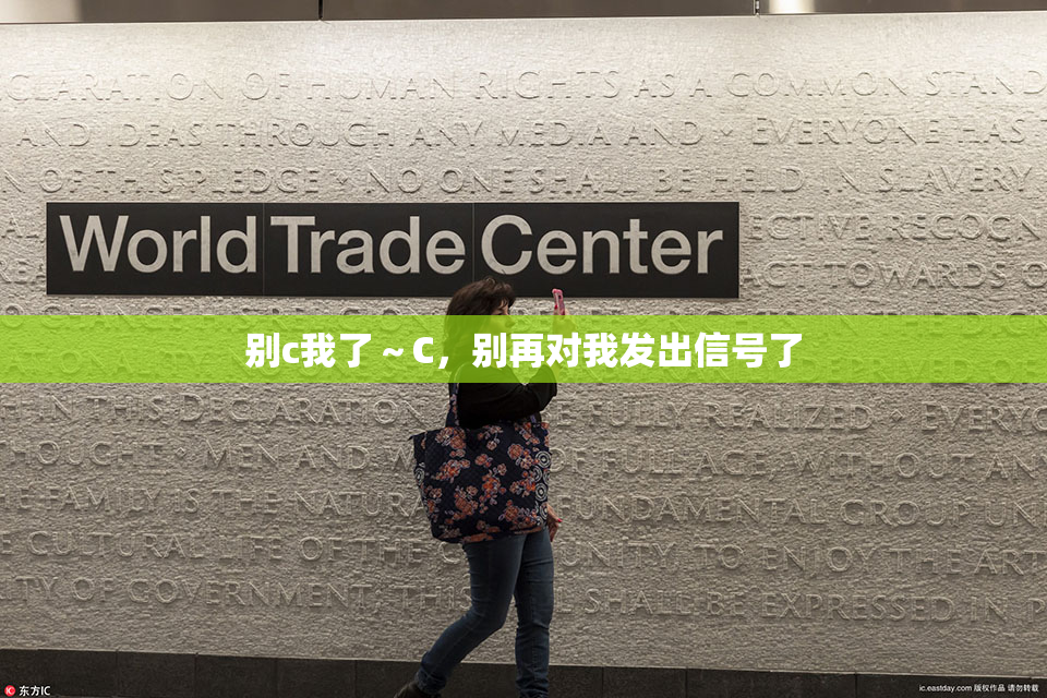 别c我了～C，别再对我发出信号了