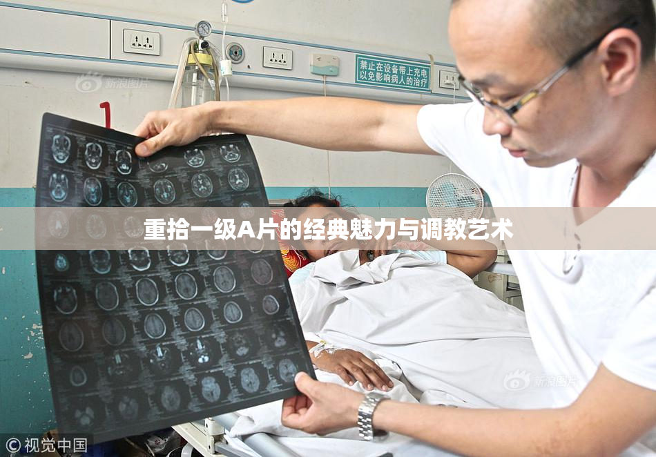 重拾一级A片的经典魅力与调教艺术