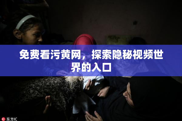 免费看污黄网，探索隐秘视频世界的入口