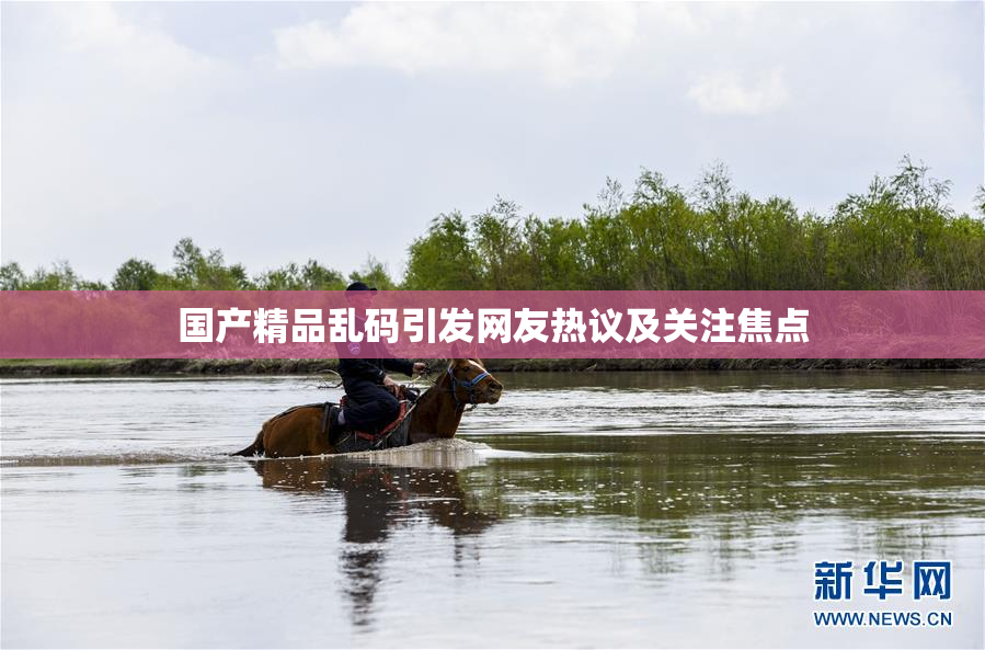 国产精品乱码引发网友热议及关注焦点