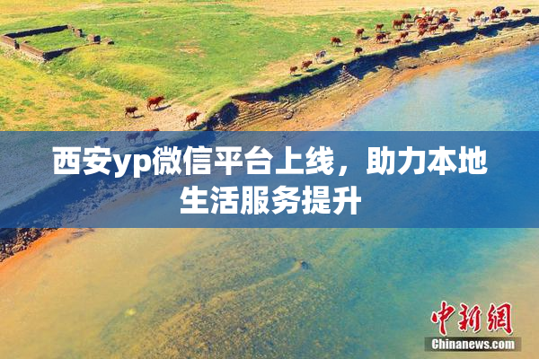 西安yp微信平台上线，助力本地生活服务提升