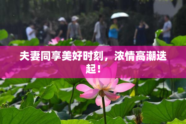 夫妻同享美好时刻，浓情高潮迭起！