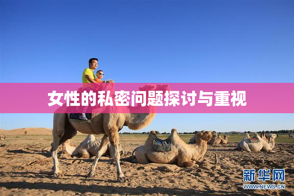 女性的私密问题探讨与重视