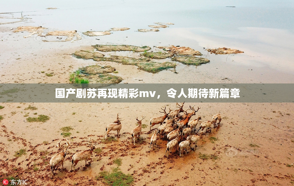 国产剧苏再现精彩mv，令人期待新篇章