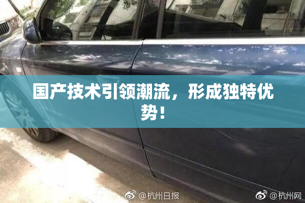 国产技术引领潮流，形成独特优势！