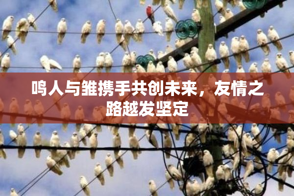 鸣人与雏携手共创未来，友情之路越发坚定