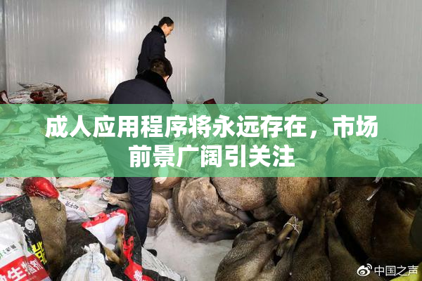 成人应用程序将永远存在，市场前景广阔引关注