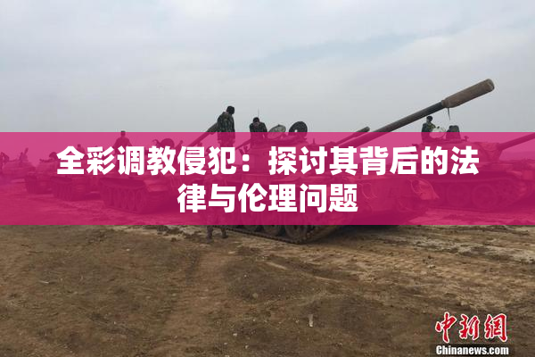全彩调教侵犯：探讨其背后的法律与伦理问题