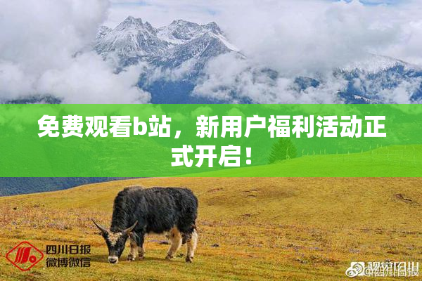 免费观看b站，新用户福利活动正式开启！