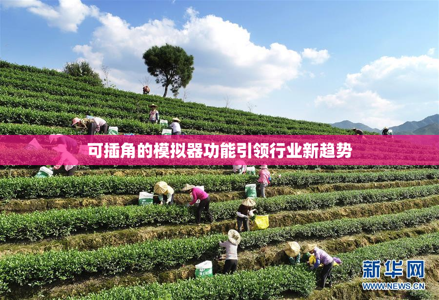 可插角的模拟器功能引领行业新趋势