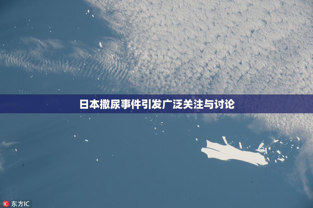 日本撒尿事件引发广泛关注与讨论