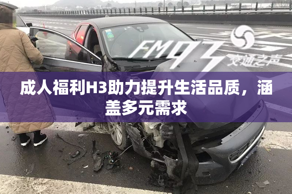 成人福利H3助力提升生活品质，涵盖多元需求