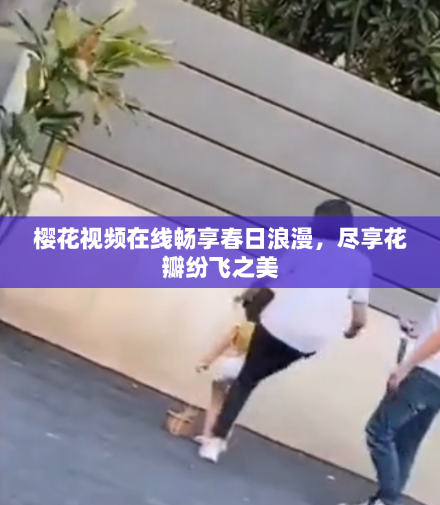 樱花视频在线畅享春日浪漫，尽享花瓣纷飞之美