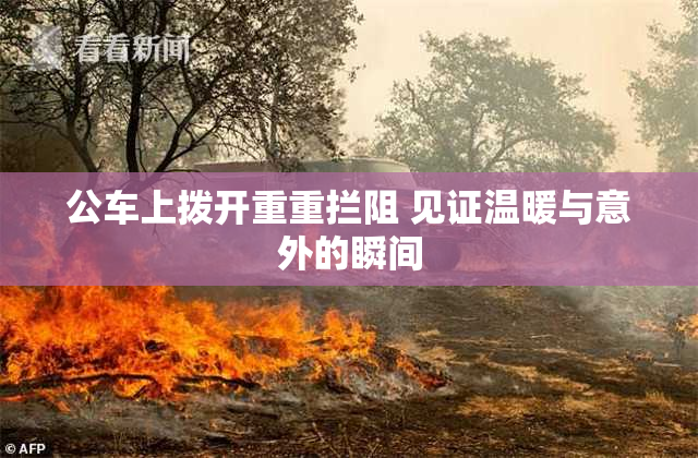 公车上拨开重重拦阻 见证温暖与意外的瞬间
