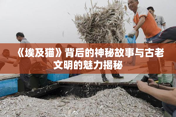 《埃及猫》背后的神秘故事与古老文明的魅力揭秘