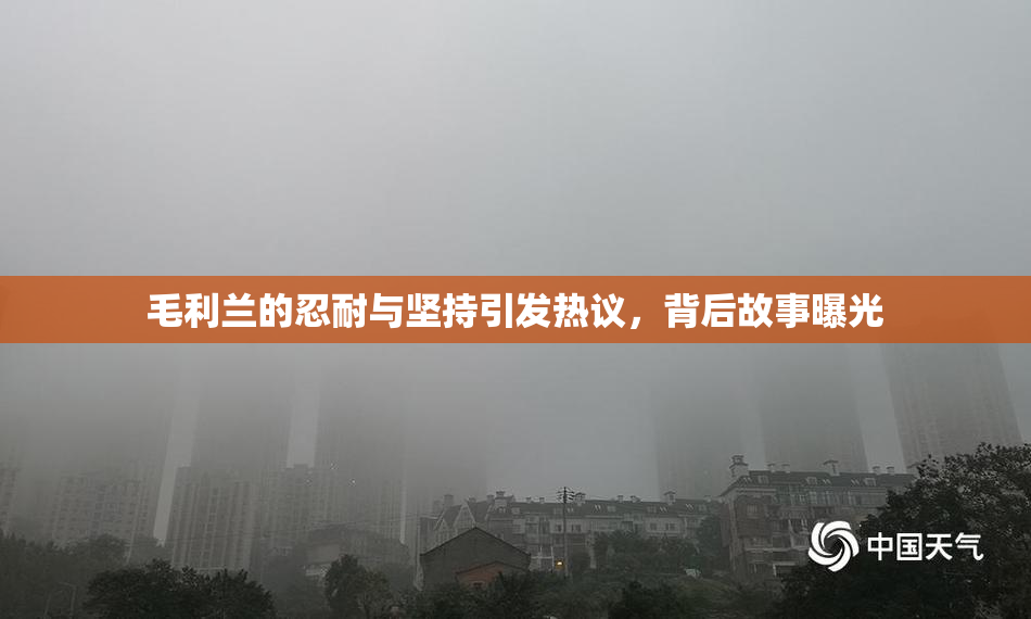 毛利兰的忍耐与坚持引发热议，背后故事曝光
