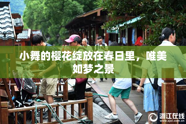 小舞的樱花绽放在春日里，唯美如梦之景