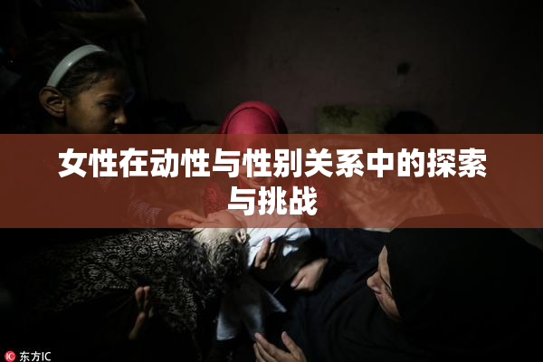 女性在动性与性别关系中的探索与挑战