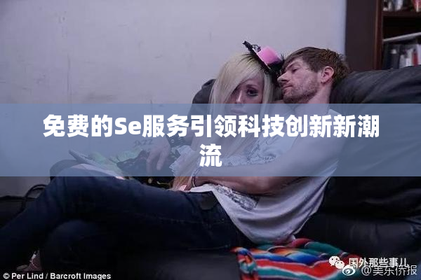 免费的Se服务引领科技创新新潮流