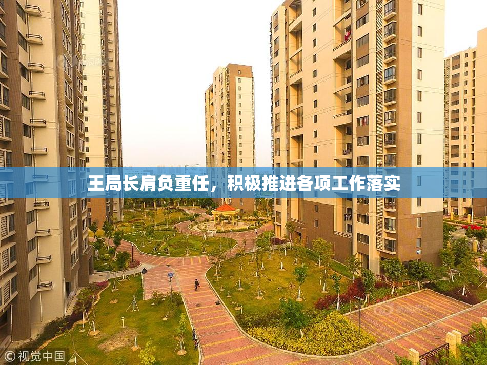 王局长肩负重任，积极推进各项工作落实