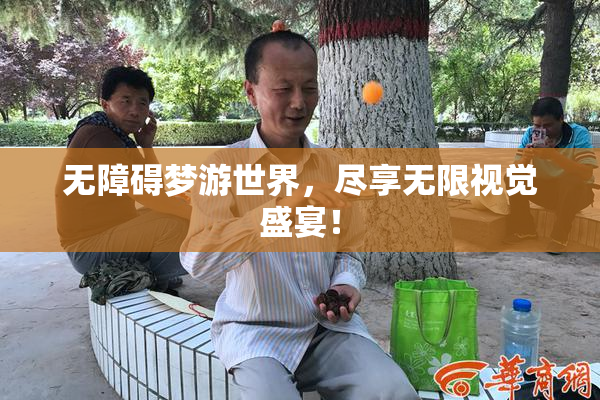 无障碍梦游世界，尽享无限视觉盛宴！
