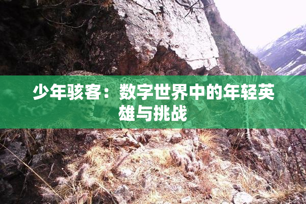 少年骇客：数字世界中的年轻英雄与挑战