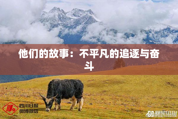 他们的故事：不平凡的追逐与奋斗